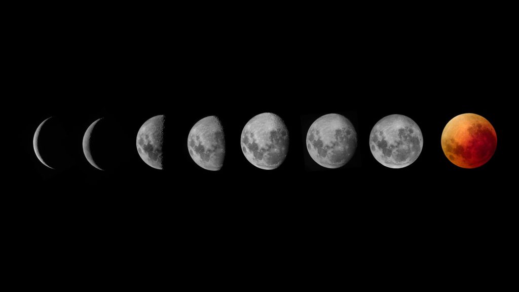 The Moon Phases