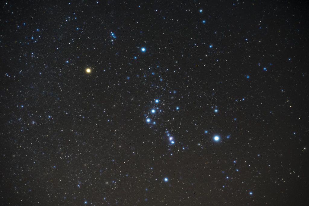 Orion Starseed
